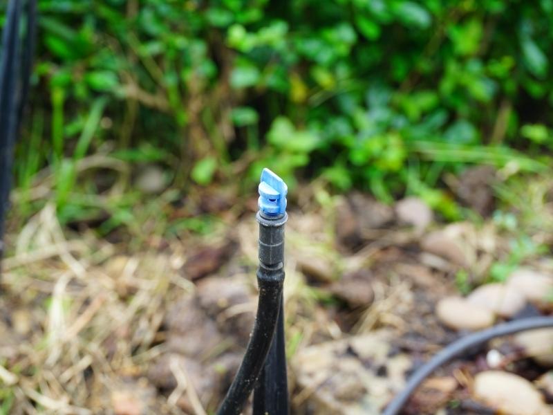 Mikro-nawadnianie - rodzaje i zalety