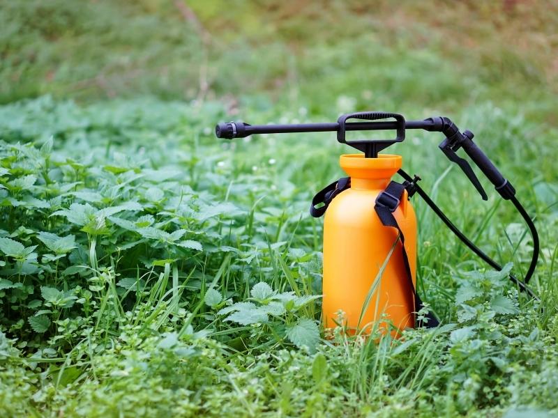 opryskiwacz ogrodowy