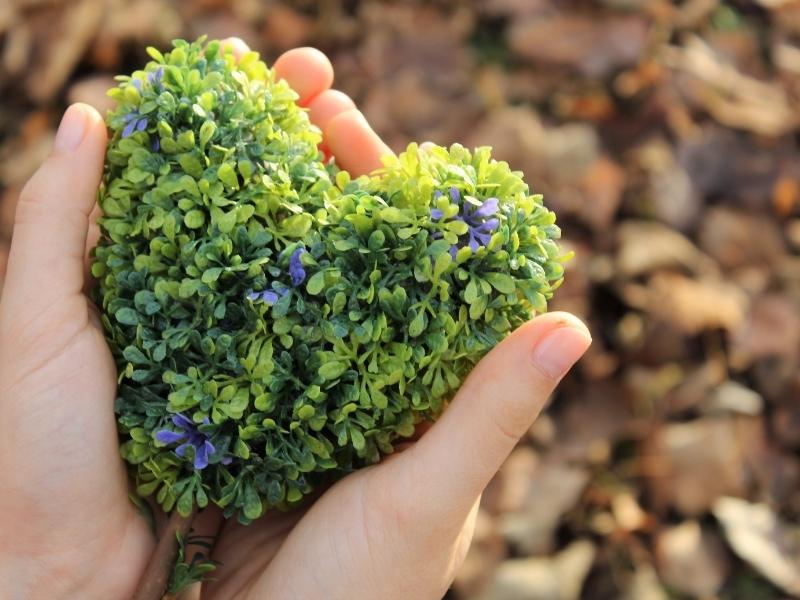 jak zadbać o środowisko