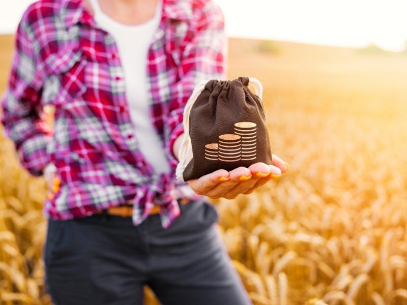 dotacje unijne dla rolników