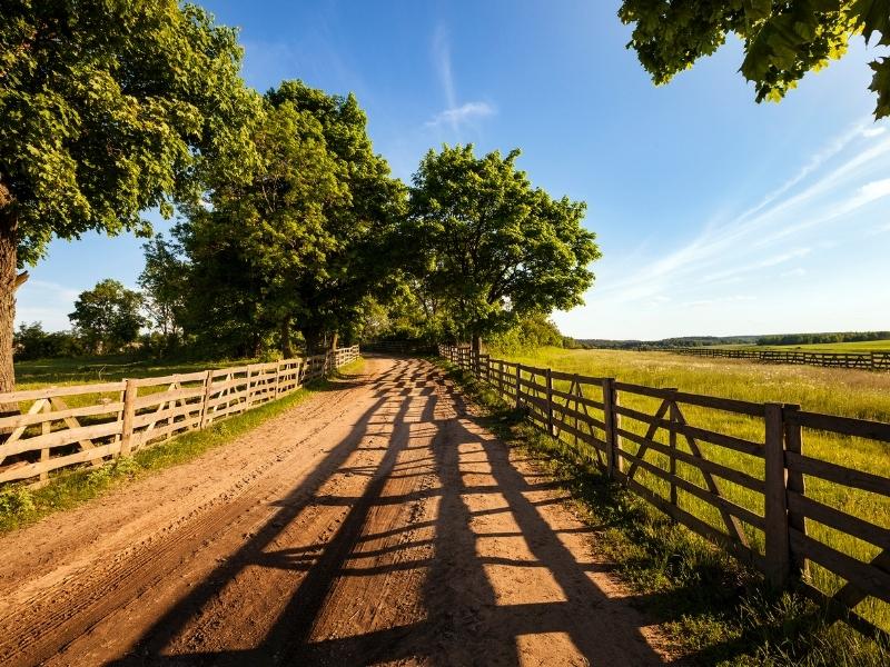 obszary wiejskie a przedsiębiorczość