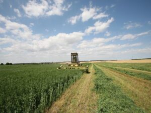 sieczkarnie polowe - jak działają