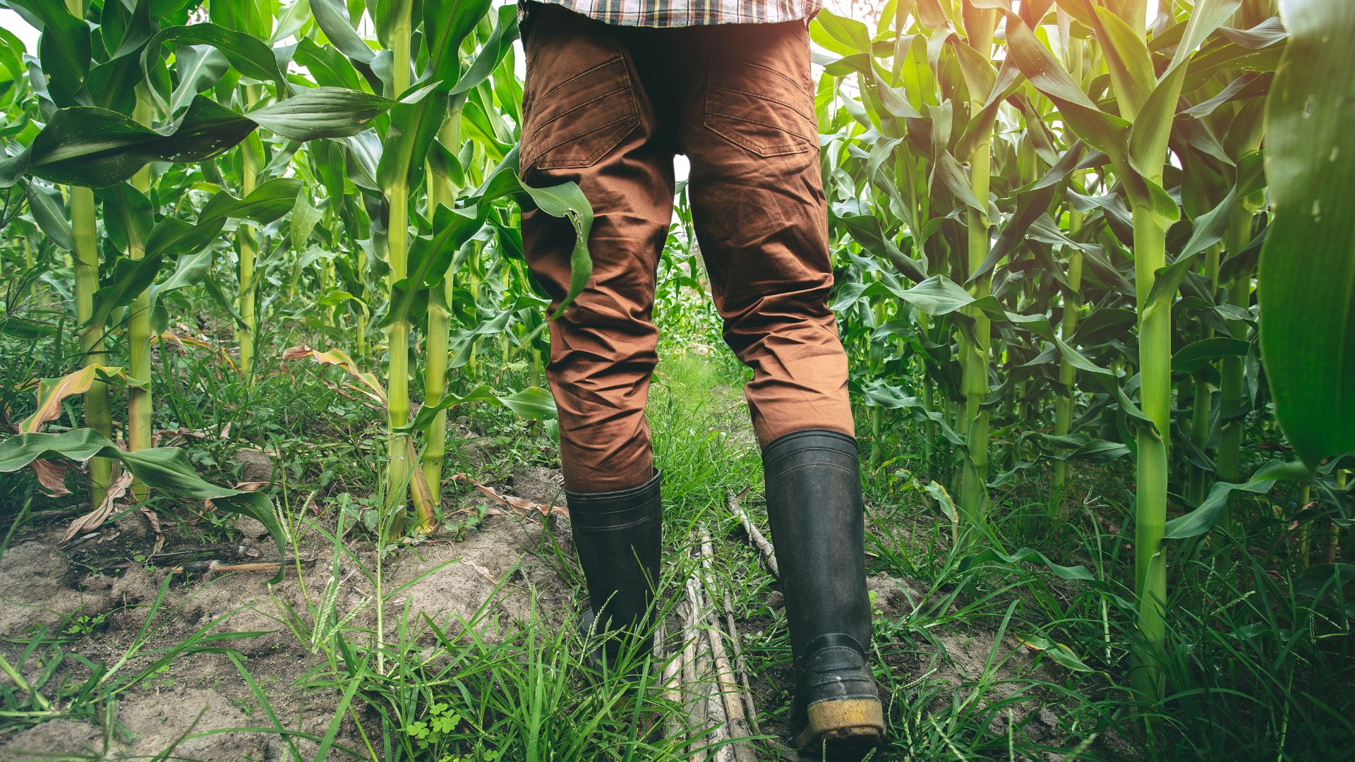 Jaka odzież robocza w gospodarstwie rolnym