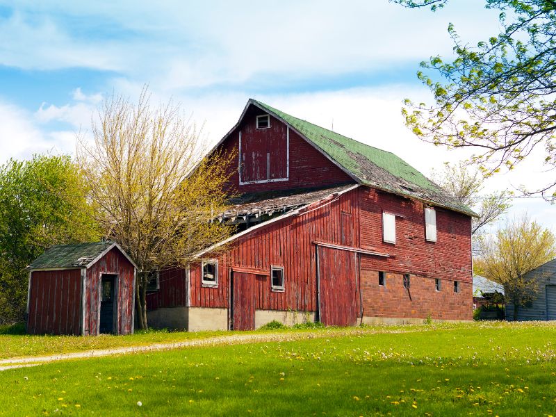 Jak zachować porządek na gospodarstwie?