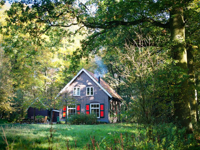 dom-w-lesie-warunki-zabudowy-i-idealne-rozwiazania-dla-domow-modulowych