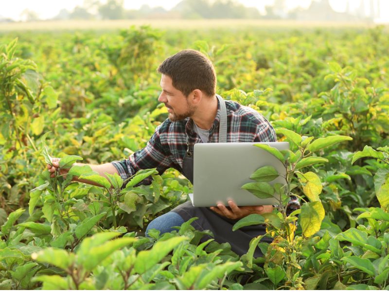dofinansowanie do hodowli roślin rolniczych