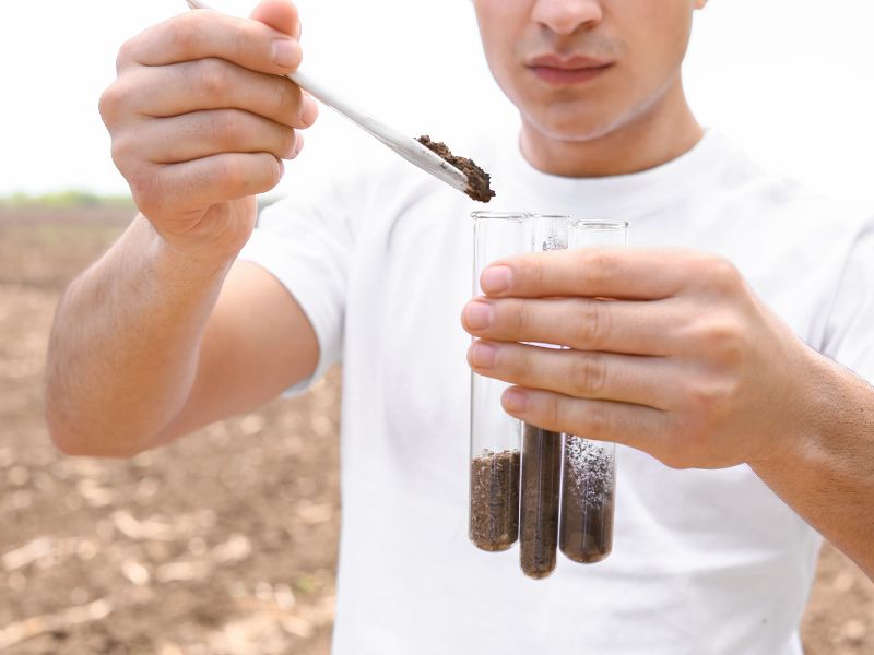 Co się stosuje w rolnictwie ekologicznym?