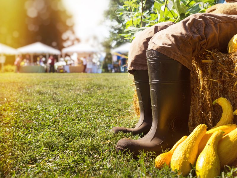 Jak przygotować plac pod dożynki we wsi?