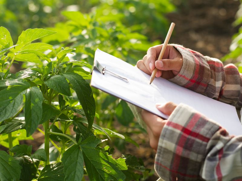 Jak nowoczesne maszyny wspierają rozwój rolnictwa? Innowacyjne technologie w praktyce