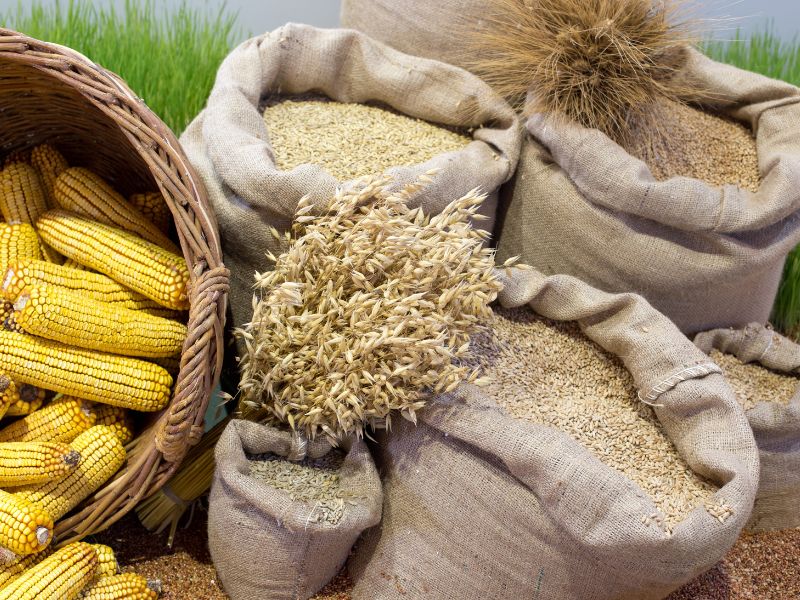 Jak sprzedawać produkty rolnicze przez internet?