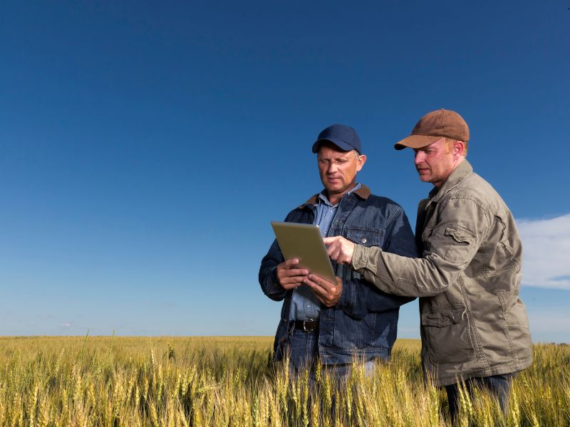 mata-podsiakowa-rolnictwo