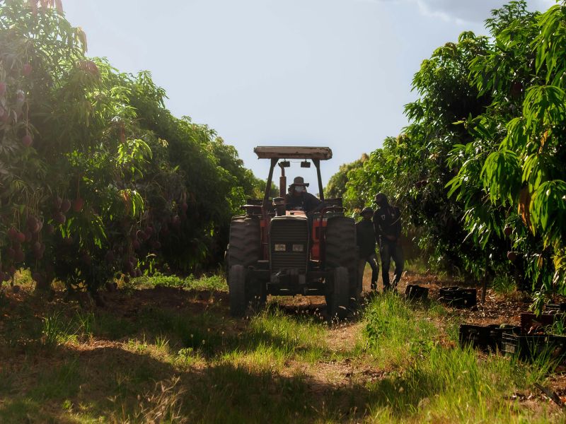 praca-w-farmie-za-granica