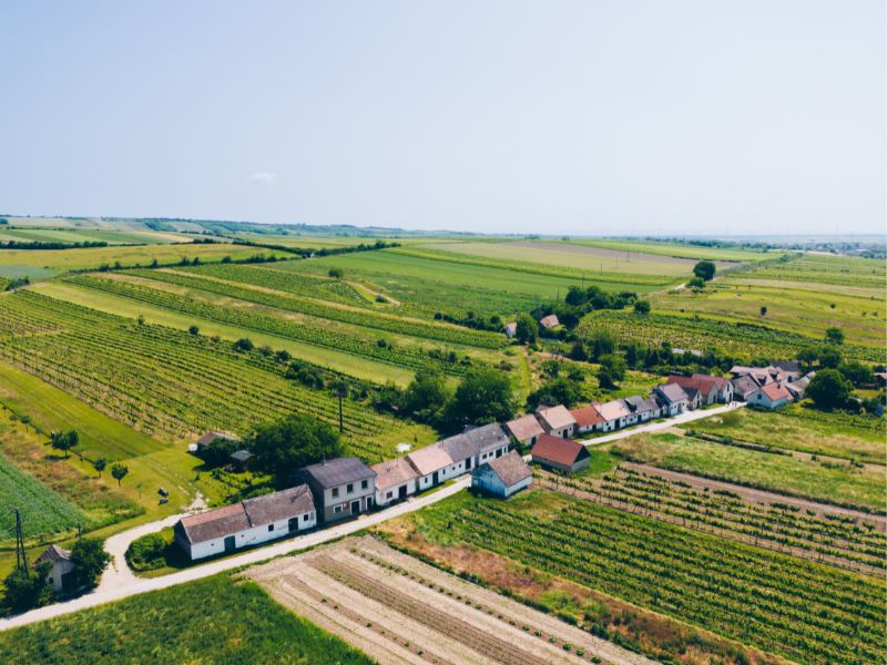 Jak wygląda rolnictwo w Austrii?