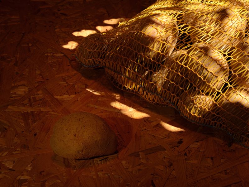 Jak przechowywać ziemniaki na zimę?