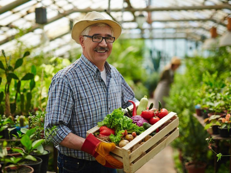 Poduszka dla rolnika - jakie wypełnienie wybrać?