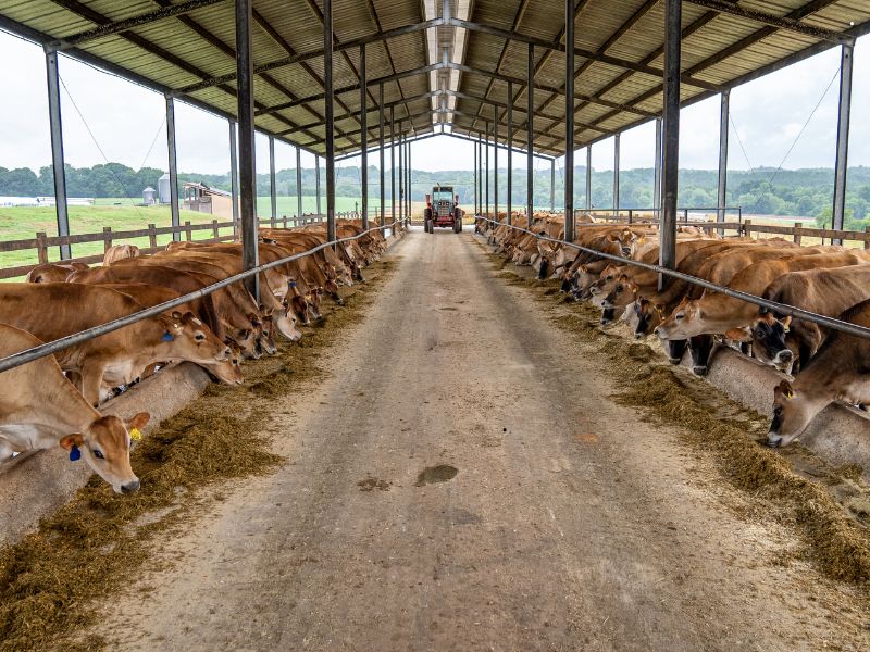 wiaty-stalowe-rolnictwo