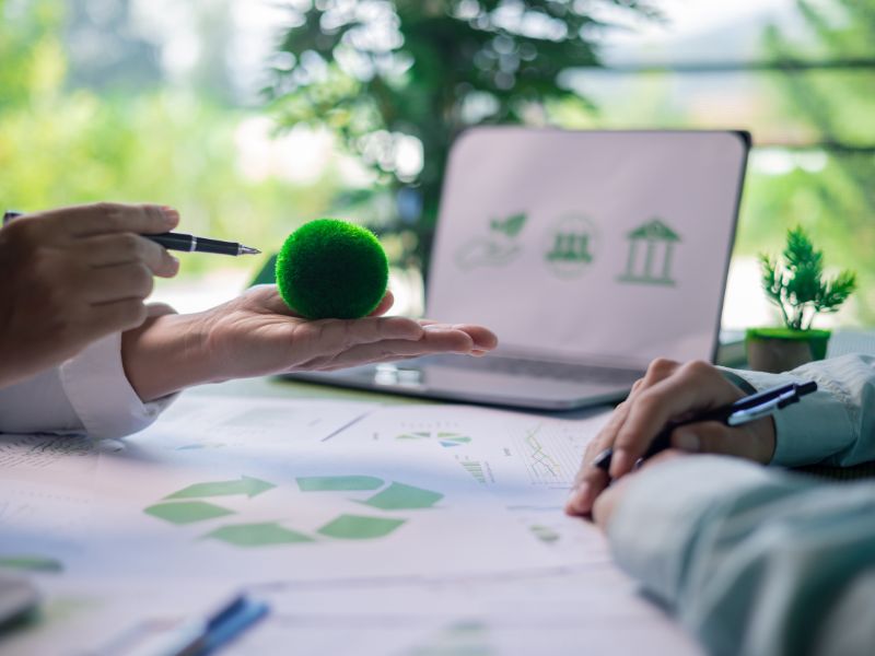 rozwój gospodarstw rolnych