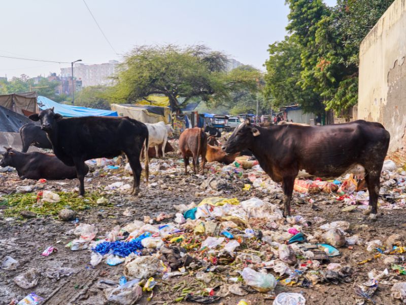 gospodarka odpadami w rolnictwie